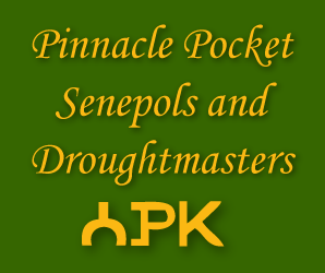 Pinnacle Pocket Cattle