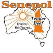 Australian Senepol Cattle Breeders Association Inc.