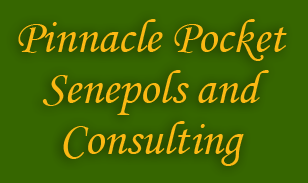 Pinnacle Pocket Cattle