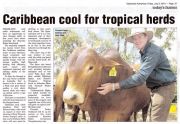 Carribean cool for tropical herds - 