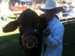 Jade with Pinnacle Pocket Dalton, Cairns show 2011 - 