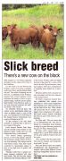 Slick Breed - 