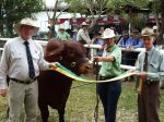 Cairns show 2010 - 