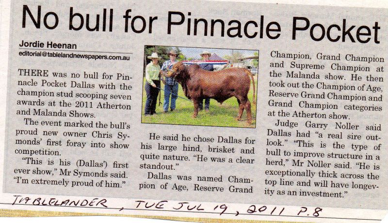 No bull for Pinnacle Pocket