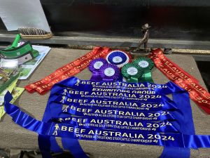 SENEPOL – STUD CATTLE CHAMPIONSHIP RESULTS – Beef Australia Ltd
