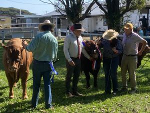 Tablelands Better Beef Open Day