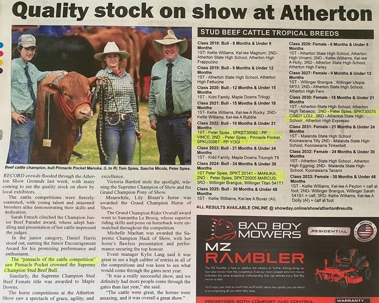 Quality stock on show at Atherton